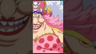 Fakta Menarik dari Pudding one piece.