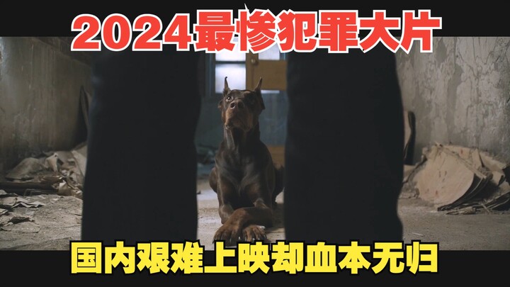 ผลงานชื่อเสียงสุดหายนะแห่งปี 2024: หนังในประเทศที่ดิ้นรนเข้าฉายแต่กลับขาดทุนย่อยยับ แล้วมันผิดพลาดที