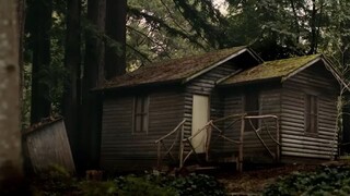 18+ brutal western movie banned