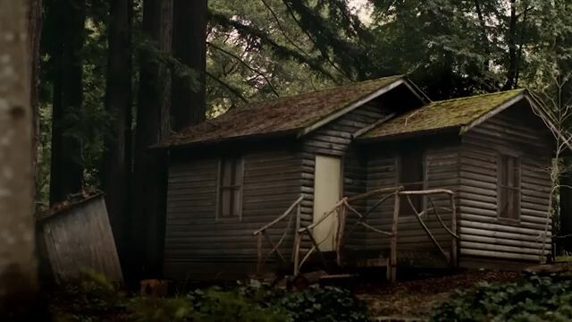 18+ brutal western movie banned