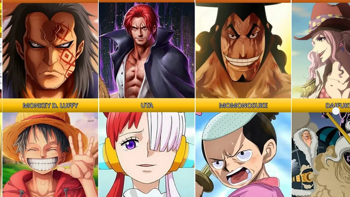ONE PIECE ตัวละครและผู้ปกครอง แชงค์สมีลูกสาวหรือไม่