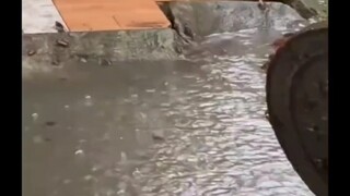广东特色塔防游戏