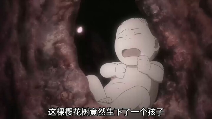 樱花女孩因被虫侵害伤及五官
