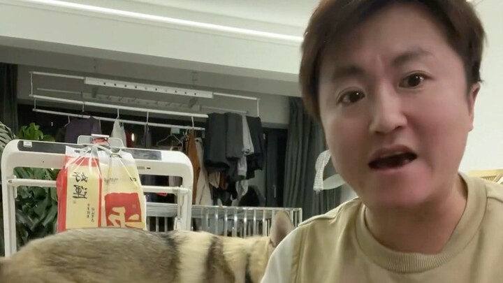 I’m a pro at dog training!