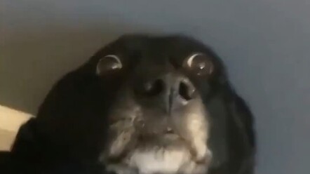 “Hurry, hurry, hurry—keep rushing me! I’ll personally hand you a piping-hot late-night snack.”