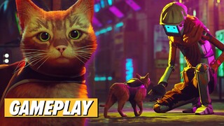 Stray: 3 New Minutes Of Cat-Centric Platforming AKA Catforming | PS5 PS4