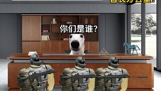 当领导以为你是贫困生时（四）