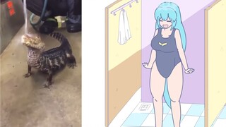 Crocodile meme, but a feminized little saw crocodile! 【Dangoheart Animation】