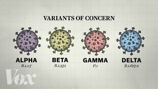 Why so many Covid-19 variants are showing up now