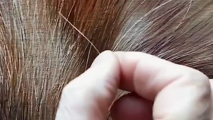 草台世界最超现实的画家