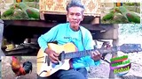 HUWAG KANG UMIHI - Kuya Desiderio Montalbo Fingerstyle with Parrot  naki kanta