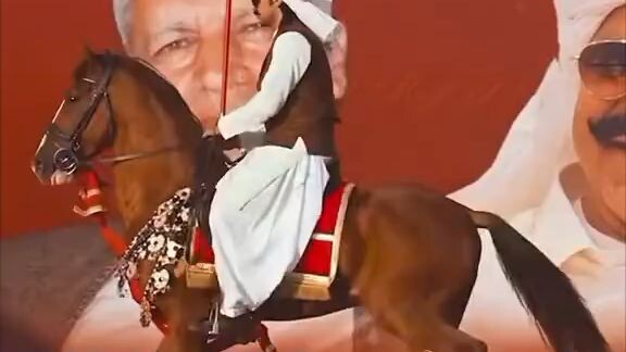 horse lover 💕💕💕