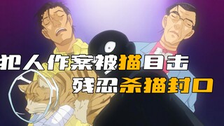 The criminal was seen committing a crime by a cat, and in order to silence it, he brutally killed th