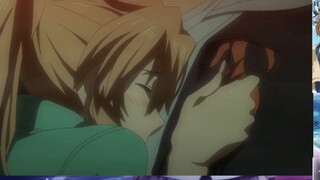 [recommendation] Three harem animes that are very cool to watch (24)