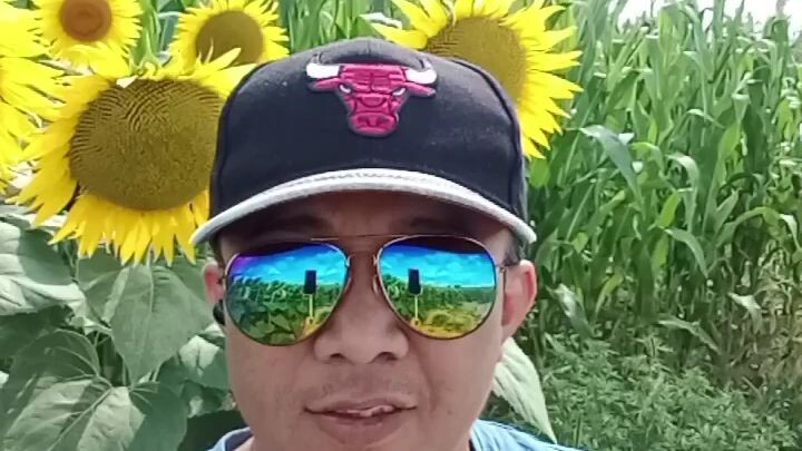 sunflower ang lalake