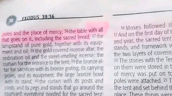 Daily Verse.        Exodus 39:32-43