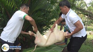 LÀM DÊ NGUYÊN CON TỔ CHỨC SINH NHẬT ANH PHÚC | Hội Ngộ Miền Tây #476