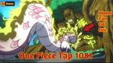 [Lù Rì Viu] One Piece Tập 1081 Thế Giới Sục Sôi Momo Cắn Đô Đốc Bò Lục  ||Review one piece