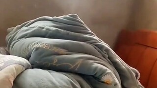 免疫系统杀疯啦