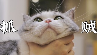 家里五只猫还能进耗子？铲屎官亲自出马抓到"超级大耗子"