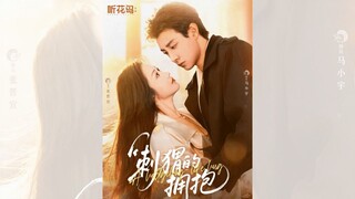 CÁI ÔM CỦA NHÍM