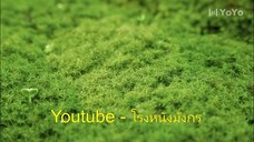 EP. 5 Don't Disturb Me Farming ซับไทย