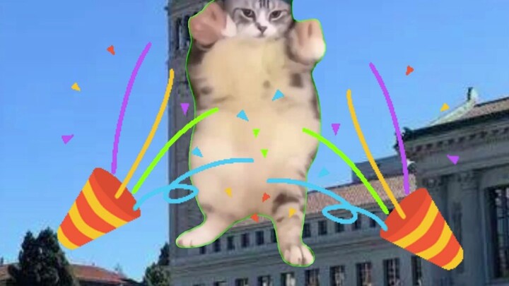 【Meme kucing】 Sikap berbagai negara dalam memberikan surat penerimaan sekolah