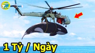 10 Công Việc Kỳ Lạ Và Khó Tin Nhất Đang Tồn Tại Trên Đời I Vivu Thế Giới