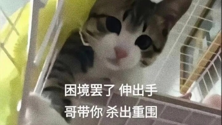 刷到这里就说明你今天会走好运哦～