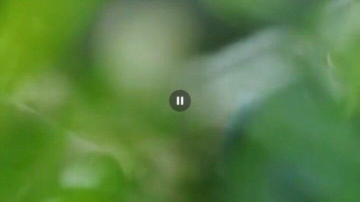 หมอยา