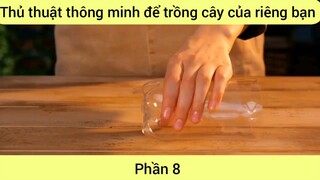 Thủ thuật thông minh để trồng cây của riêng bạn #8