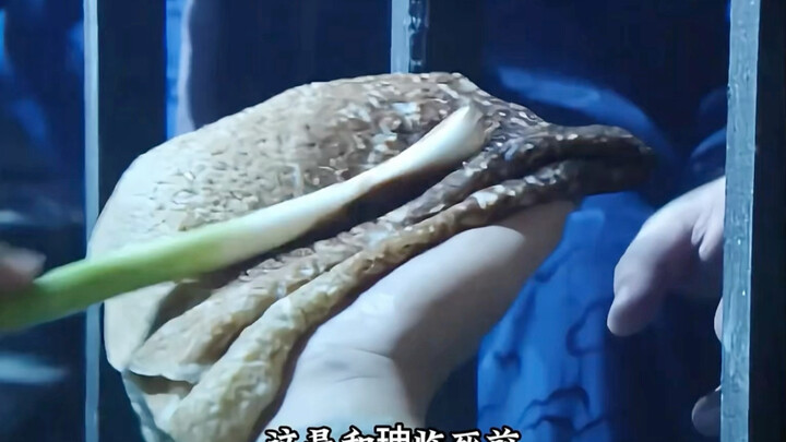 Heshen, who was greedy his entire life, had a pancake wrapped with scallions on his deathbed.