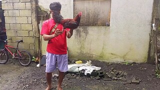 4x winner Wala Yung first fight nya Hindi Kuna Makita Yung video 2nd 3rd and 4th fight lang Nasa vid