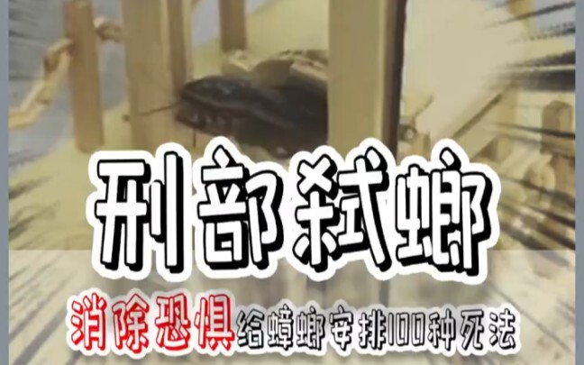 Gold Medal Criminal Division Assassin Is Here—Cockroach: “I know I’m annoying, but you actually use 