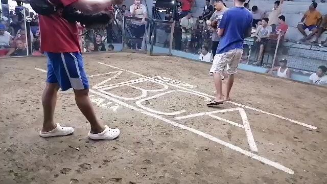 di nkachampion klaban. ..