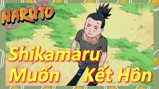 Shikamaru Muốn Kết Hôn