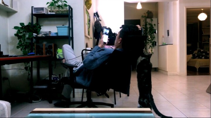 Attention all passengers with cats: Please adjust your seat backs to the upright position. [Pee-Pee 