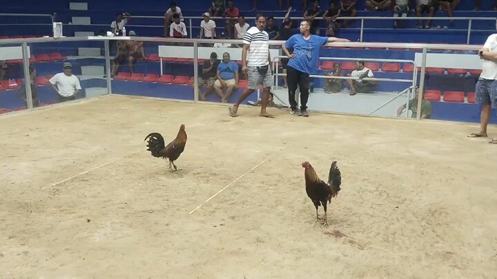 Airwolf Sweater x Blueface Hatch