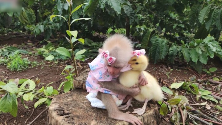 Come, give me a hug.