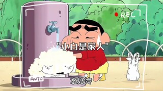 小白是家人