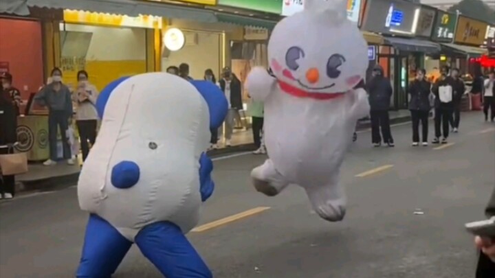 Snow King and Chamomochi fight, guess who wins?