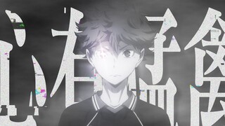 [Volleyball Boys AMV] Raptor di Hati