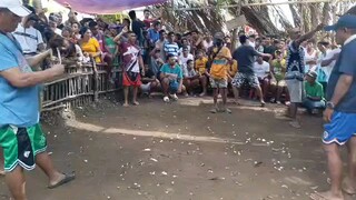 Fiestahan,,Galing ng Cobra naunahan aking alimbuyogin Buti nakabawi Yatap din ehh