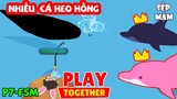 PLAY TOGETHER | Nguồn Cảm Hứng Săn Cá Heo Hồng - #7 Fan Sếp Mậm Săn Cá Hiếm