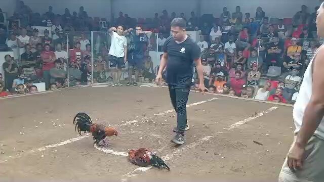 2nd fight draw @ blue diamond hackfight