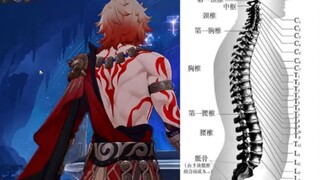 万敌第十节胸椎在哪？