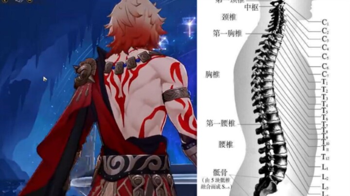 万敌第十节胸椎在哪？
