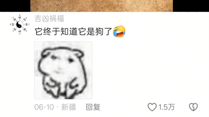 การแก้ปัญหาสุนัขกินยากในเรื่องนี้