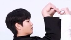 The heart challenge is so sweet, Leopard Cat is touching hands