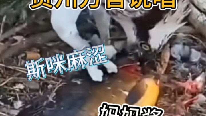 Dasar, udah mati aja bikin kesel, kamu malah terus-terusan ngoceh kayak burung di sini!